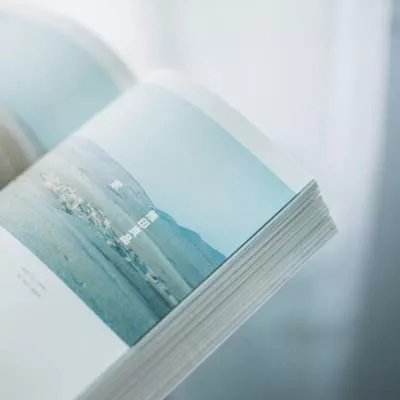 方舟生存进化助手最新版本下载