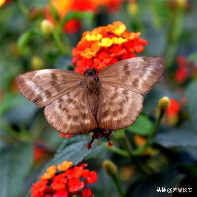 疯狂驾驶2下载